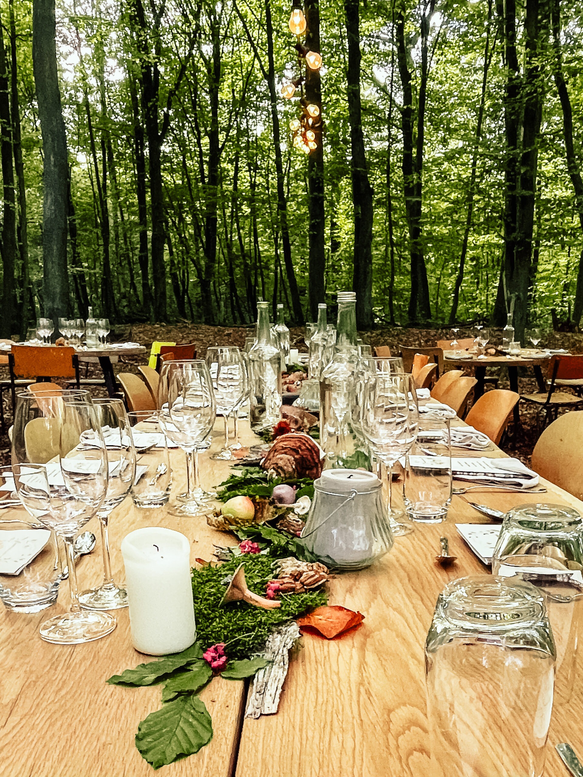 Zu Besuch bei WoodCuisine - gedeckte Tafel im Wald - Outdoor Dinner (c) intogreen.events