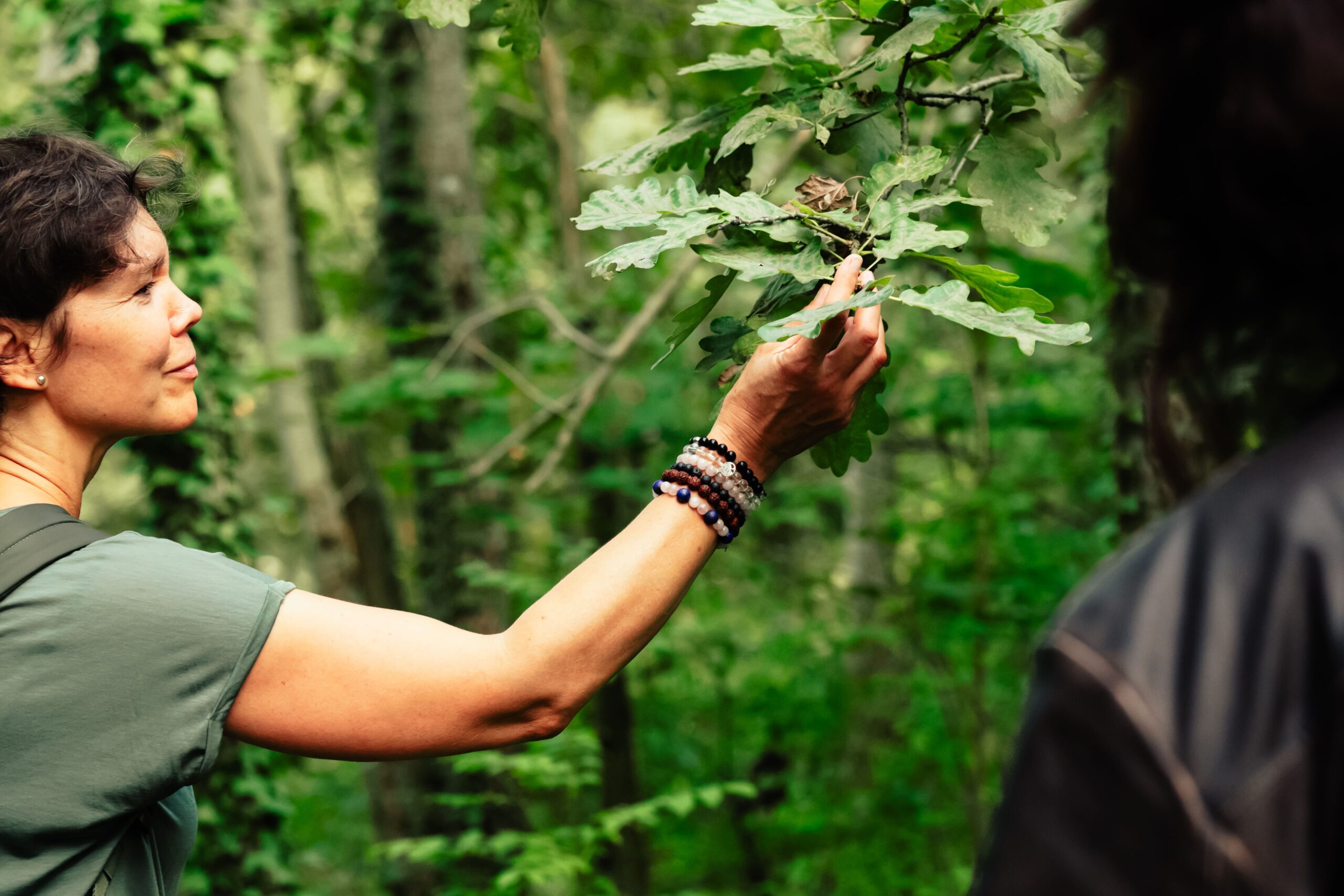 Frau mit grünem T-Shirt und Armbändern greift ein Eichenblatt vom Baum. Nur im Anschnitt zu sehen. Waldbaden in Potsdam von intogreen.events. (c)seelenherzfotografie