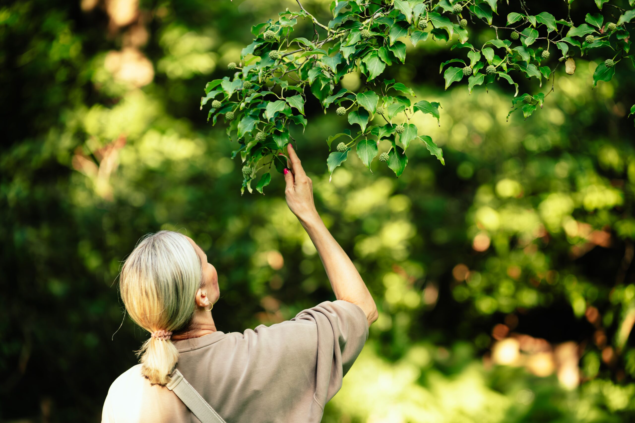 Frau mit blonden Haaren, beige T-Shirt und pinken Nägeln steht im Wald vor einem Baum. Sie greift zu einem Blatt und schaut sich dieses genau an. Waldbaden-Event in Potsdam von intogreen.events. (c)seelenherzfotografie